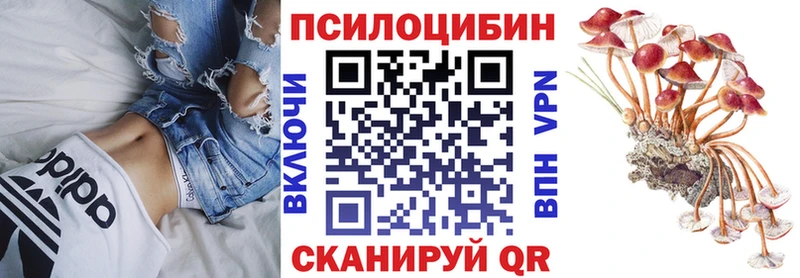 Псилоцибиновые грибы MAGIC MUSHROOMS  купить закладку  Ермолино 